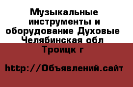 Музыкальные инструменты и оборудование Духовые. Челябинская обл.,Троицк г.